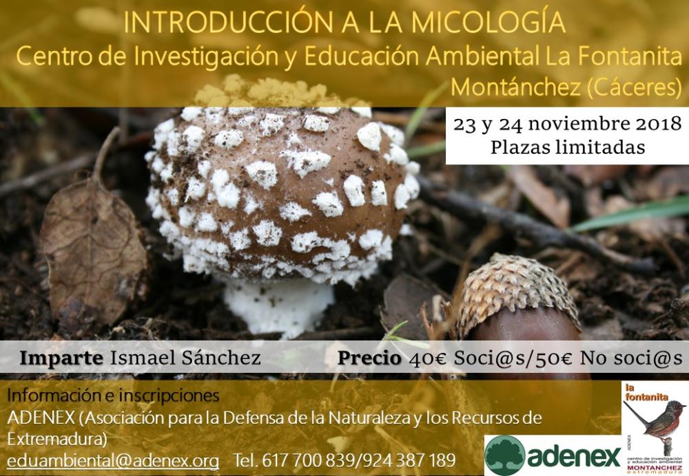 Imagen CURSO DE INTRODUCCIÓN A LA MICOLOGÍA EN LA SIERRA DE MONTÁNCHEZ