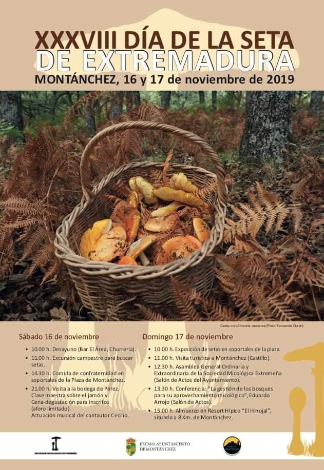 Imagen MONTÁNCHEZ: XVIII DÍA DE LAS SETA DE EXTREMADURA