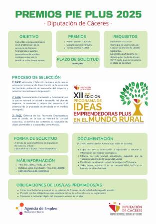 Imagen PREMIOS PIE PLUS DE DIPUTACIÓN DE CÁCERES
