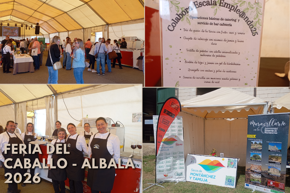 Imagen Feria del caballo - Albalá 2026